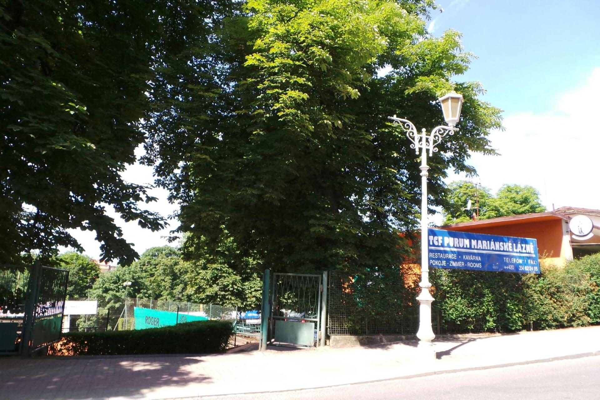 Villa Shafaly Marianske Lazne Ngoại thất bức ảnh